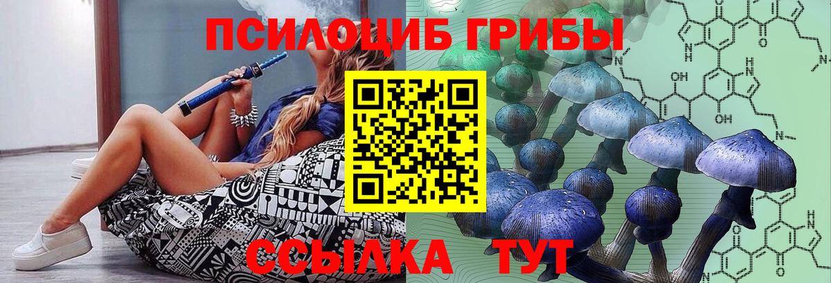 Галлюциногенные грибы Magic Shrooms Железногорск