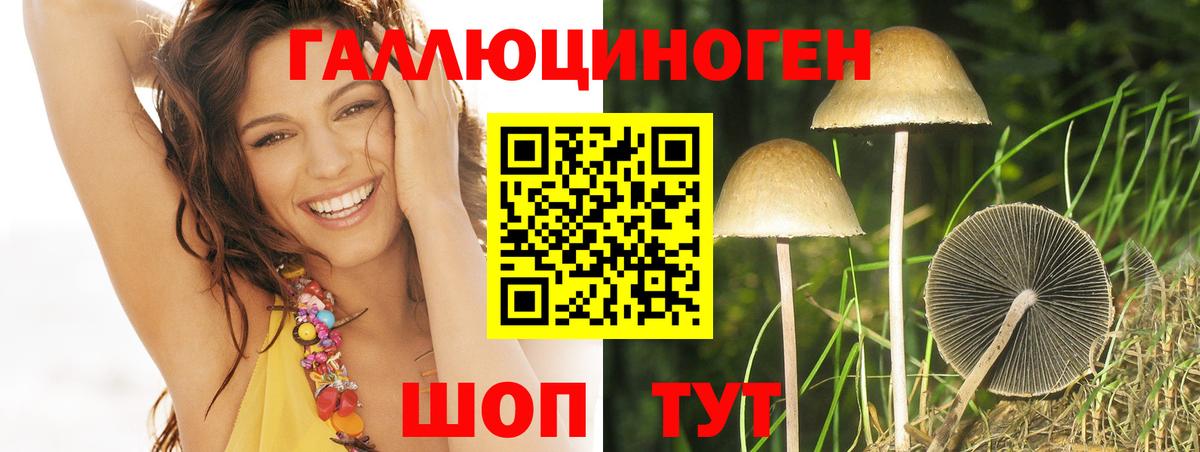 Галлюциногенные грибы Psilocybe  Псилоцибиновые грибы GOLDEN TEACHER  Вход с VPN  закладки  Железногорск 